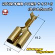 Photo1: [Yazaki Corporation] 250-type Busbar non-waterproof female-terminal size：S(0.3-0.5mm2) (1)