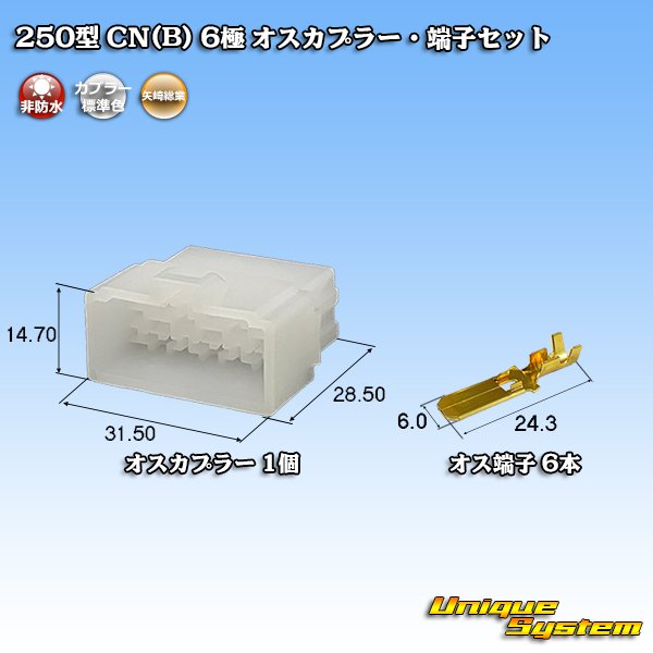 Photo1: [Yazaki Corporation] 250-type CN (B) non-waterproof 6-pole male-coupler & terminal set (1)